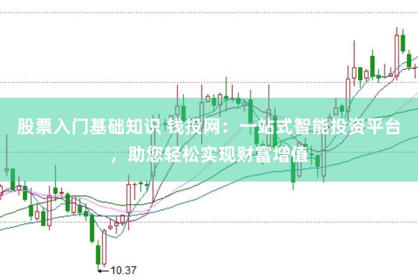 股票入门基础知识 钱投网：一站式智能投资平台，助您轻松实现财富增值