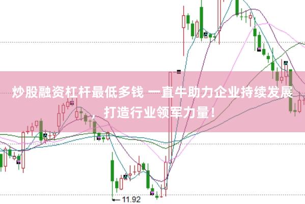 炒股融资杠杆最低多钱 一直牛助力企业持续发展，打造行业领军力量！