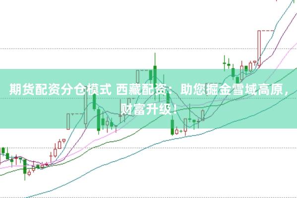 期货配资分仓模式 西藏配资：助您掘金雪域高原，财富升级！