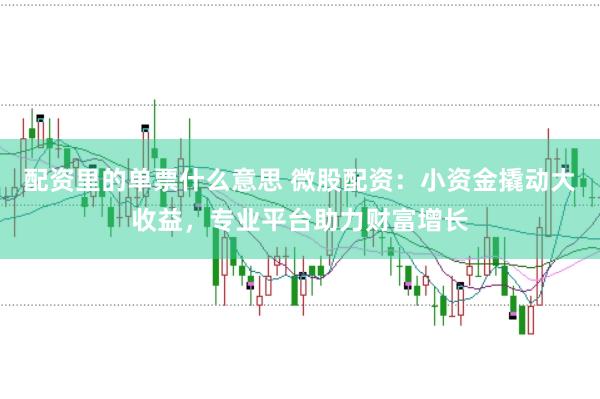 配资里的单票什么意思 微股配资：小资金撬动大收益，专业平台助力财富增长