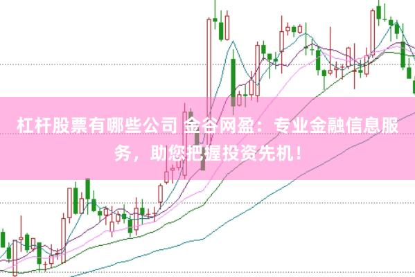杠杆股票有哪些公司 金谷网盈：专业金融信息服务，助您把握投资先机！