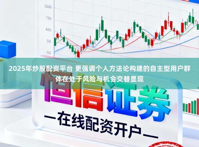 2025年炒股配资平台 更强调个人方法论构建的自主型用户群体在处于风险与机会交替显现